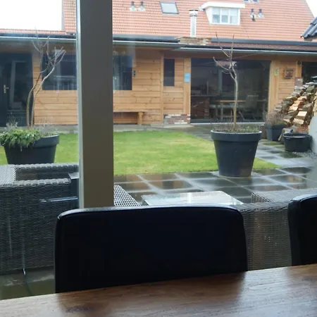 Dennengeur * Egmond aan Zee